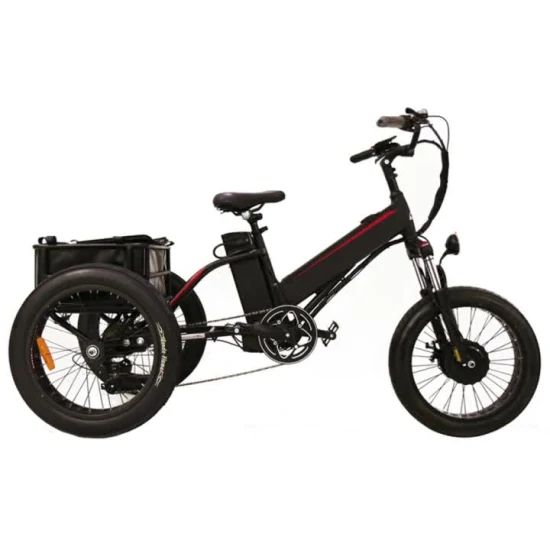 Tricycle électrique de haute qualité de 5 000 watts ou plus ou hors tension